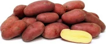 Cardinal potato
